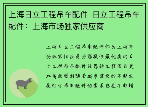 上海日立工程吊车配件_日立工程吊车配件：上海市场独家供应商